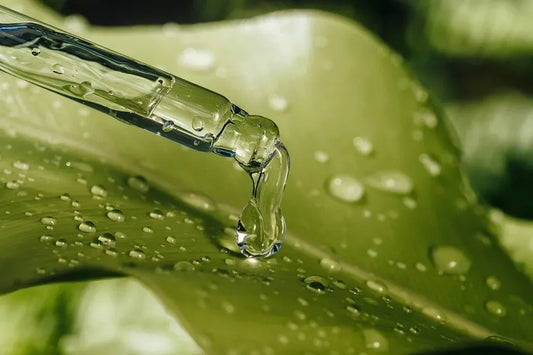 The action of the cold: natural and sustainable